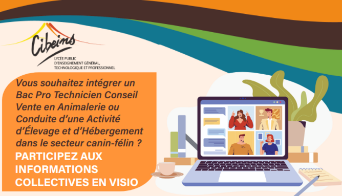 Capture d’écran 2025-11-15 084556.png