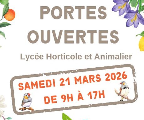 Capture d’écran 2026-02-01 191229.jpg